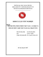 Thị trường phân phối việt nam   cơ hội và thách thức trước khi việt nam gia nhập WTO