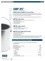 AMP 95