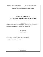 nghiên cứu lựa chọn công nghệ, thiết kế, chế tạo các máy để cơ giới hóa canh tác và thu hoạch sẵn ở vùng sản xuất sắn tập trung