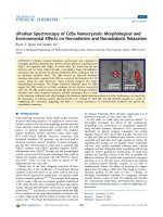 ultrafast spectroscopy of cdse nanocrystals morphological and environmental effects on nonradiative and nonadiabatic relaxation