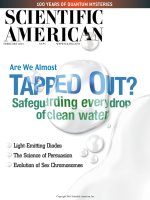 scientific american   -  2001 02  -  are we almost tapped out  safeguarding every drop of clean water