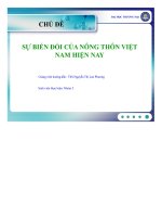 sự biến đổi của nông thôn việt nam hiện nay - luận văn, đồ án, đề tài tốt nghiệp