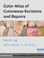 color atlas of cutaneous excisions and repairs  -  k. lee, et al., (cambridge, 2008)