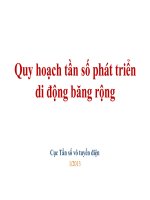 quy hoạch tần số di động băng rộng
