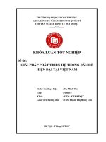 Giải pháp phát triển hệ thống bán lẻ hiện đại tại việt nam