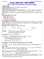 Điện tích điện trường