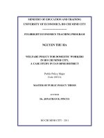 Chính sách phúc lợi cho lao động nội trợ tại thành phố hồ chí minh