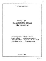 Điều tra cơ bản dân tộc cờ lao phụ lục