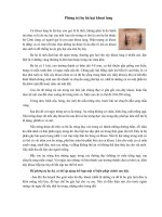 Phòng trị bọ hà hại khoai lang