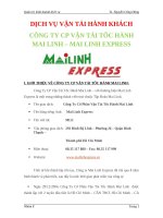 Tiểu luận dịch vụ vận tải hành khách công ty CP vận tải tốc hành Mai linh – Mai linh express