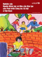 Nghiên cứu nguồn Nhân lực và Nhu cầu Đào tạo cho Phát triển Công tác Xã hội ở Việt Nam - Unicef