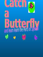 Catch a butterfly   parts of speech