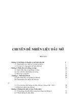 nhiên liệu dầu mỡ