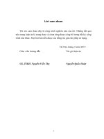 Một số nghiệm soliton của các phương trình Yang-Mills và ứng dụng