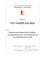 đồng bộ trong hệ thống ofdm và ofdma. xây dựng chương trình c truyền dữ liệu giữa hai máy tính bằng kỹ thuật ofdm