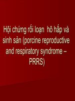 Hội chứng rối loạn sinh sản và hô hấp