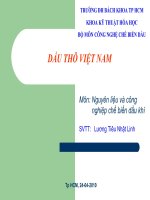 Tiểu luận Nguyên liệu và công nghiệp chế biến dầu khí :DẦU THÔ VIỆT NAM