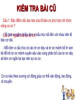 Giáo án bồi dưỡng tham khảo sinh học 8 Hoạt động của cơ