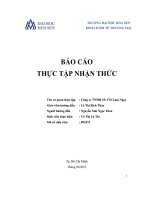 Báo cáo thực tập nhận thức tại công ty TNHH sản xuất thương mại lam ngọc