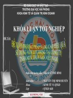 đề xuất biện pháp nâng cao hiệu quả sử dụng vốn lưu động tại công ty tnhh thủy sản việt nam