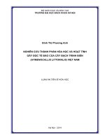 Nghiên cứu thành phần hóa học và hoạt tính gây độc tế bào của cây Bạch trinh biển (Hymenocallis littoralis) Việt Nam