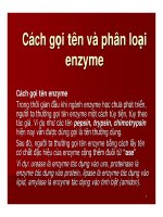 bài giảng công nghệ protein enzyme chương 8 cách gọi tên và phân loại enzyme