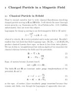 Charged particle in a electromagnetic field 3