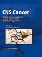 cns cancer  -  e. van meir (humana, 2009)
