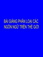 Bài giảng phân loại các ngôn ngữ trên thế giới