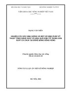 Nghiên cứu xác định giống và một số biện pháp kỹ thuật tăng năng suất và hiệu quả kinh tế trong sản xuất cà chua tại đồng bằng sông hồng tóm tắt