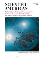 scientific american   -  1993 06  -  tuning in the radio signals of ancient galaxies