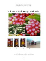cà phê và kiểm tra chế biến