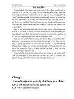 tình hình quản lý chất lượng sản phẩm và biện pháp nâng cao hiệu quả quản lý chất lượng sản phẩm tại công ty cổ phần vật liệu xây dựng kỹ thuật cao