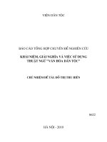 Khái niệm, giải nghĩa và việc sử dụng thuật ngữ 'văn hóa dân tộc'