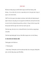 KHÁM VÀ ĐIỀU TRỊ BỆNH ĐAU ĐẦU