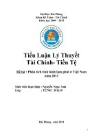phân tích tình hình lạm phát ở việt nam năm 2011