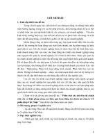 phân tích các chỉ tiêu tài chính chủ yếu và biện pháp nâng cao hiệu quả hoạt động tài chính tại công ty cổ phần thép việt nhật