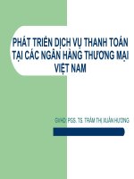giải pháp phát triển dịch vụ thanh toán quốc tế tại các ngân hàng thương mại việt nam