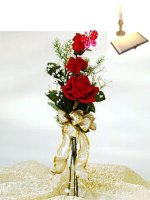 Giáo án sinh học 9 bồi dưỡng Tiết 27 Tiêu hóa ở khoang miệng