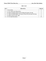 skkn Phương pháp tóm tắt kiến thức cần nhớ và vận dụng lý thuyết vào giải toán