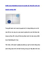 Chiến Ịược Marketing trong kỷ nguyên số: Khuyến nghị cho doanh nghiêp Viêt