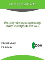 đánh giá hệ thống nhận dạng thương hiệu công ty apave việt nam và đông nam á