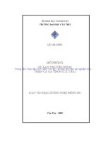 luận văn mô phỏng sự lan truyền bệnh trên da cá trơn ( cá tra)