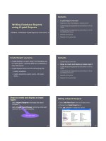 Writing Database Reports using Crystal Reports