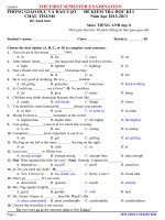 the first semester examination  grade 8