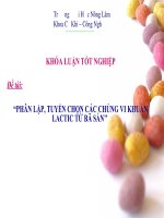 Đề tài “PHÂN lập, TUYỂN CHỌN các CHỦNG VI KHUẨN LACTIC từ bã sắn’’