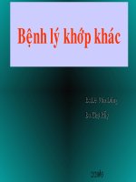X QUANG BỆNH LÝ KHỚP