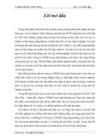 thực trạng tổ chức công tác kế toán tại công ty tnhh cung ứng khoáng sản toàn cầu