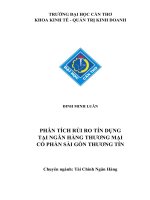 Phân tích rủi ro tín dụng tại ngân hàng thương mại cổ phần sài gòn thương tín sacombank