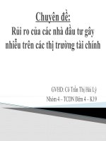 Chuyên đề: Rủi ro của các nhà đầu tư gây nhiễu trên các thị trường tài chính